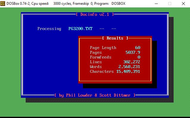 screen shot of program after input