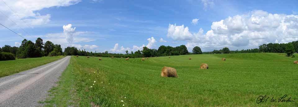Stanly County field