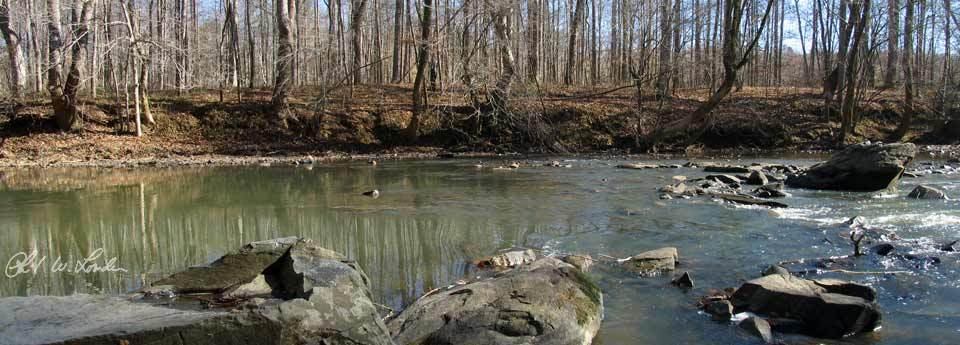 Uwharrie River 1/28/2008