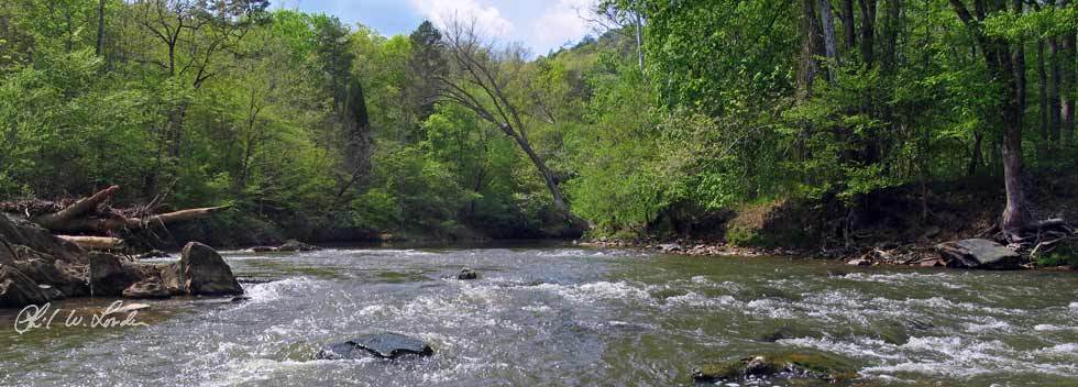 Uwharrie River 4/24/2008