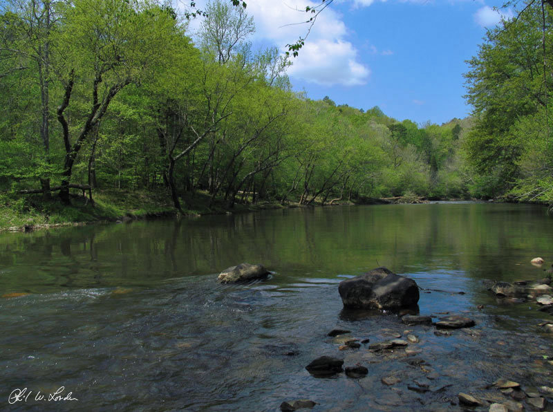 Uwharrie River scene