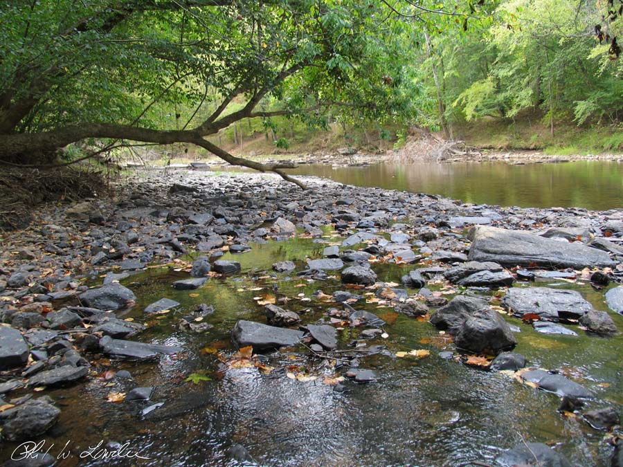 Uwharrie River